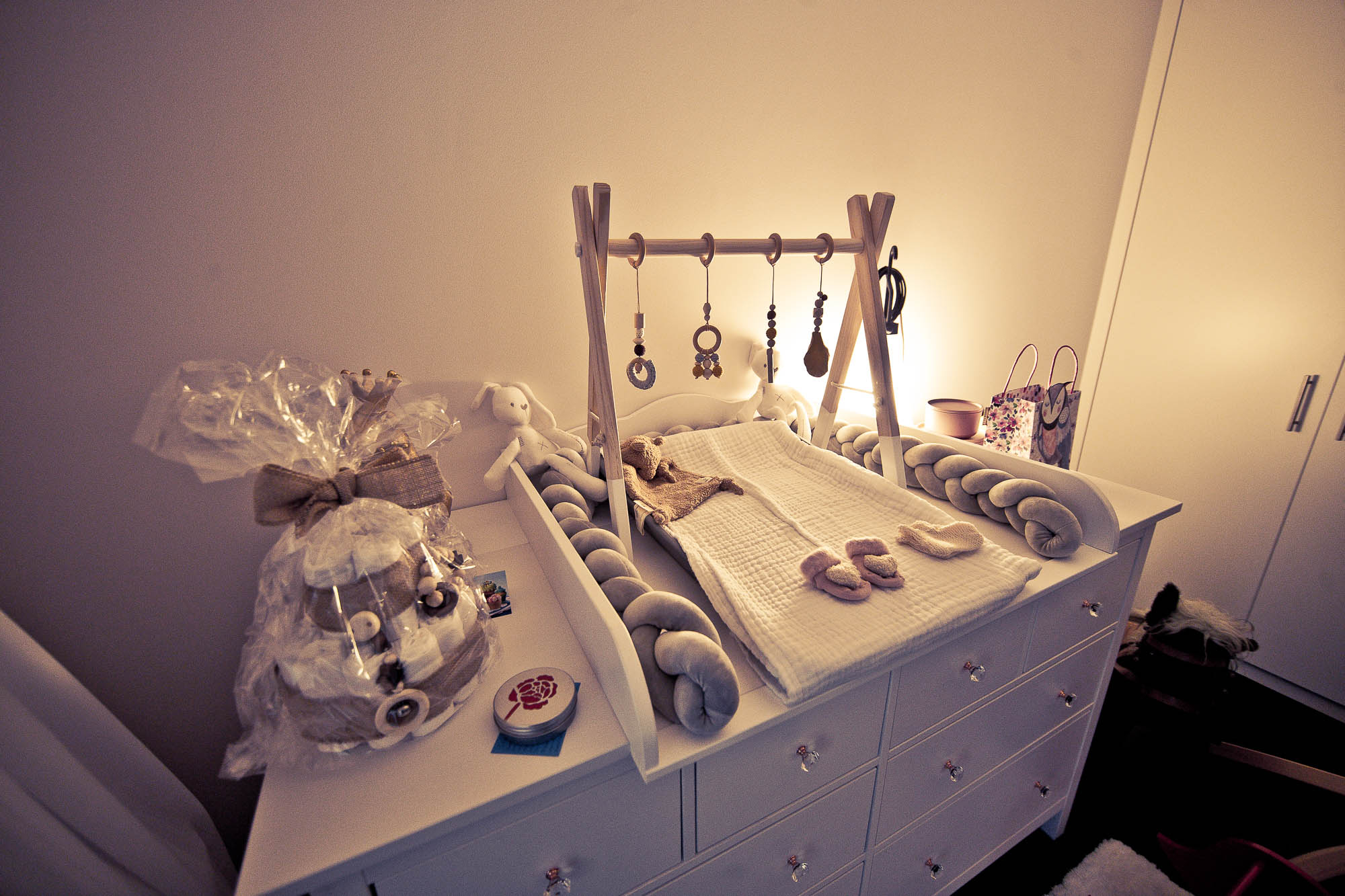 Export x3 1DX26369 Fotoshooting 2020 Zito